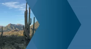 Solveglobal background Phoenix