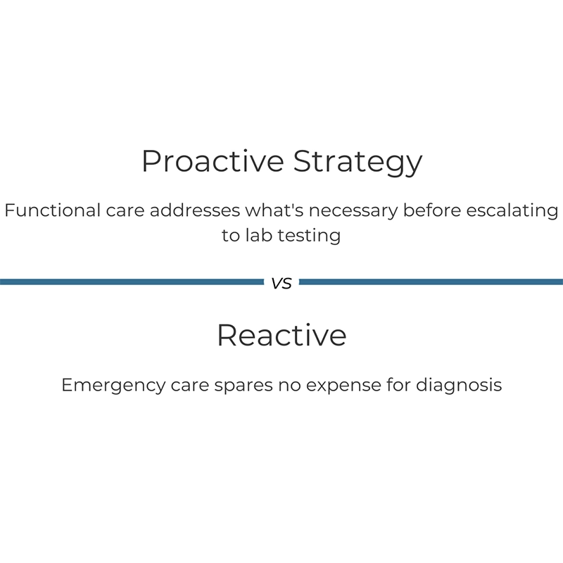 Solveglobal is proactive